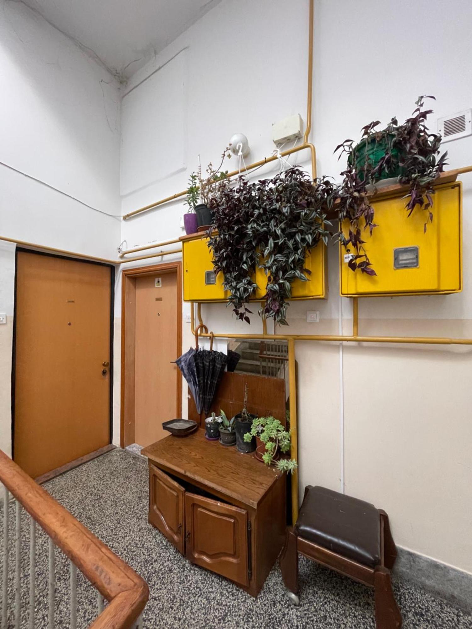 Apartment Ada